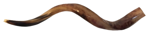 Click to Blast Shofar!